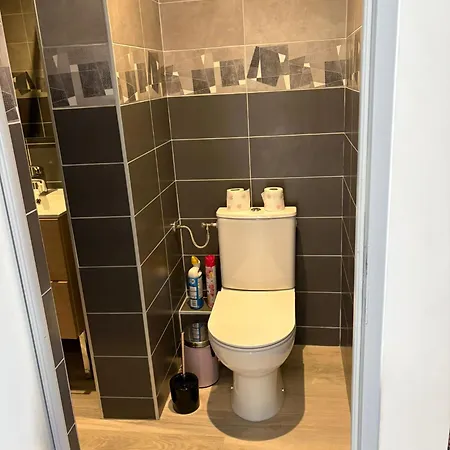 Apartment Le Lis Des Pyrenees Argeles-Gazost